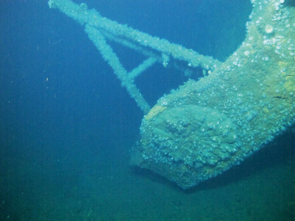 潜水調査でわかってきた戦艦大和の全貌と実像
