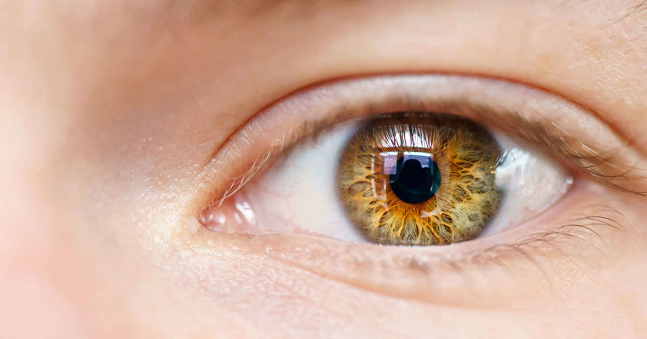 目を激しく動かす 眼トレ は やってはいけない 目がよくなる32の方法 ダイヤモンド オンライン