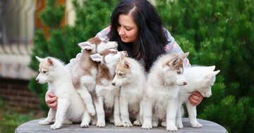 「犬の飼育頭数」が日本で2040年に半減するワケ、猫はどうなる?
