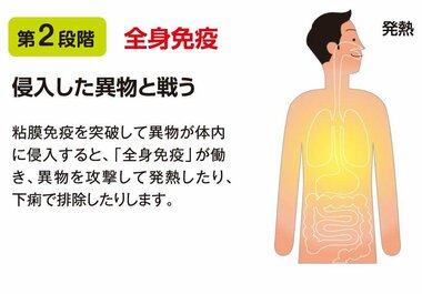 ビジネスパーソンの健康を守り、質の高い仕事の原動力に乳酸菌を摂り続ける効果は計り知れない