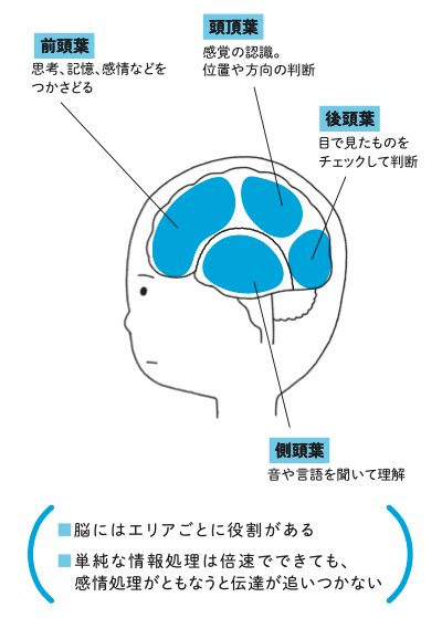 図表：脳にはエリアごとに役割がある