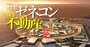 大林組・清水建設・竹中工務店が落札した大阪万博、他の大手・在阪勢は「危うきに近寄らず」