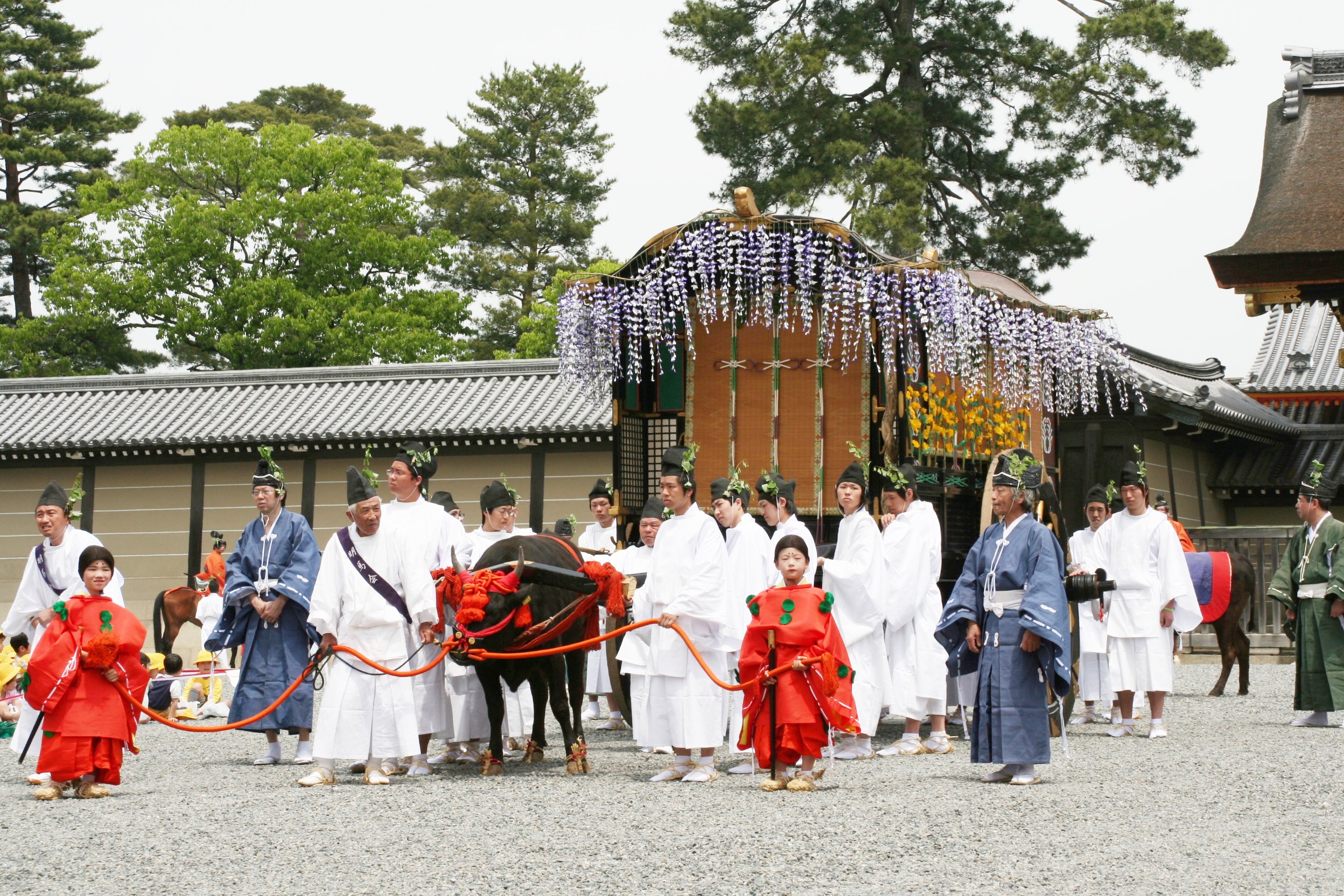 900kgもある牛車を引いて5時間も歩く牛さん