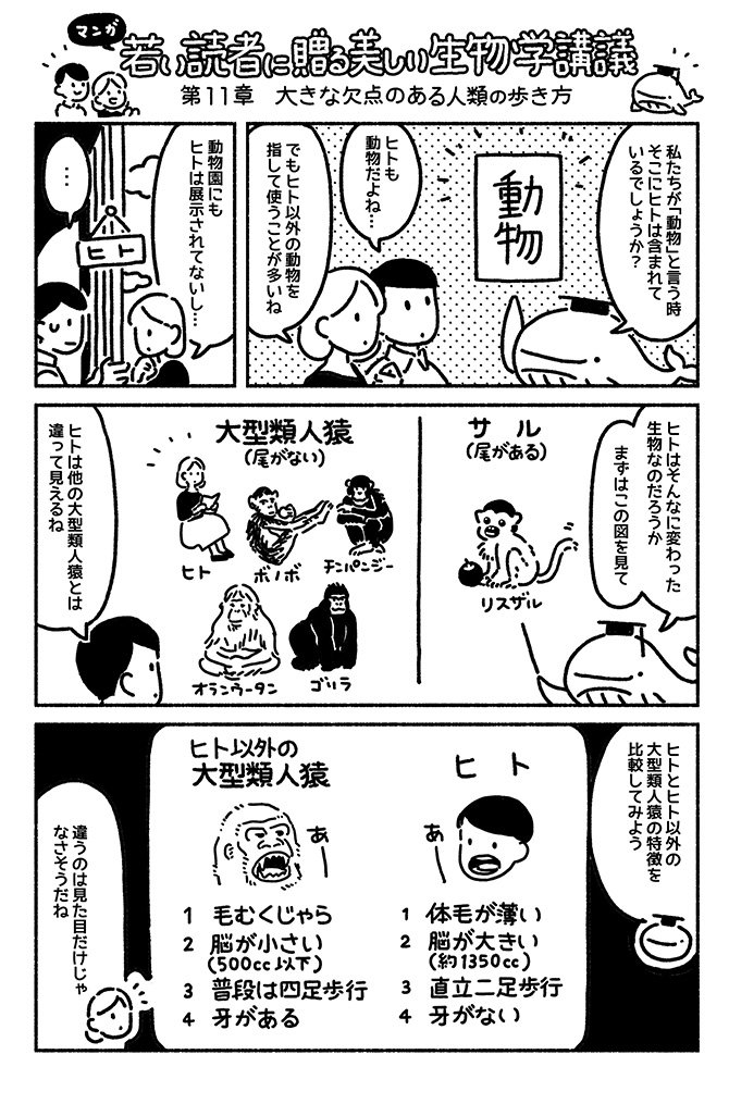 マンガでわかる「直立二足歩行」の7つの利点を知っていますか?