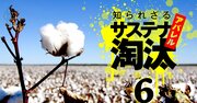 ユニクロでも世界標準の「平均点」、環境問題対応が迫る日本アパレルの淘汰リスク