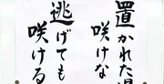 【お寺の掲示板90】置かれた場所で咲けないときは