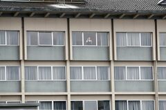 コロナのホテル隔離見直し、豪中が変異株警戒