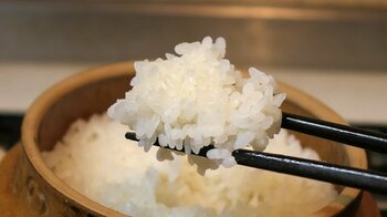 　峠の釜めし容器で炊き上がったご飯。火加減や米の状態による「炊き上がりの違い」を楽しもう