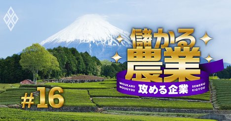 農業のトップリーグ「静岡」に有力農家が殺到する理由