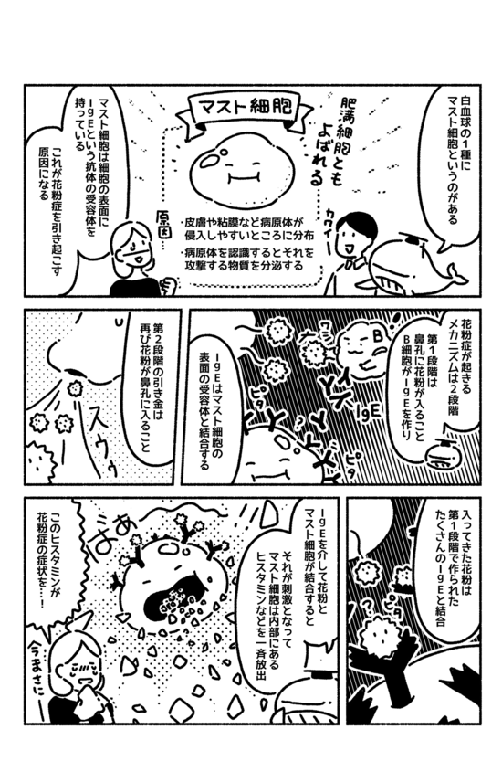 マンガでわかる「花粉症」は、免疫が働きすぎることで起きている