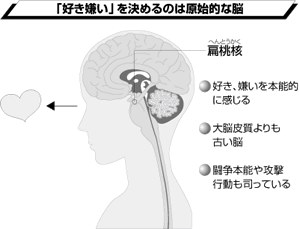 好きな人には なぜまた会いたくなるのか 男の病気 健康 ダイヤモンド オンライン