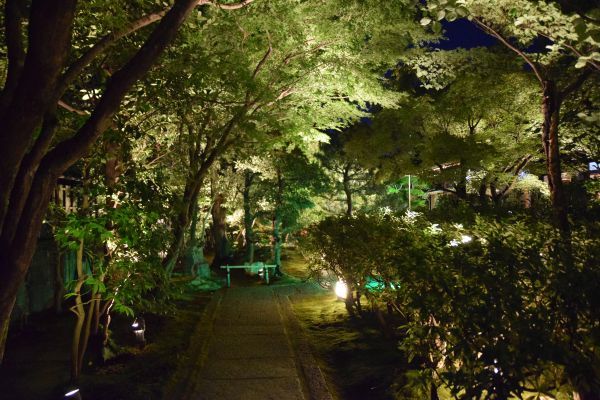 ライトアップされた圓徳院に通じる道
