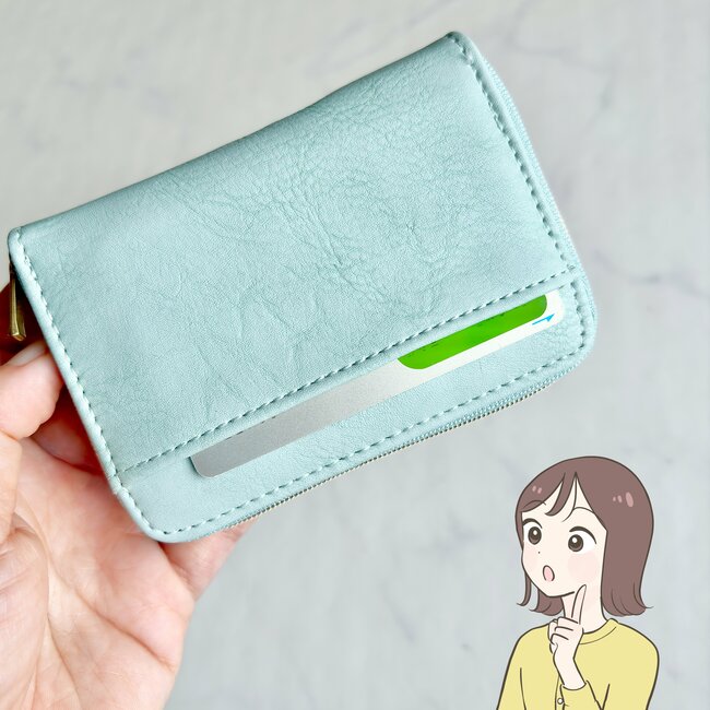 もう普通の財布に戻れないかも…！ダイソーの“高見えミニ財布”カードや診察券が21枚も入って嬉しい！