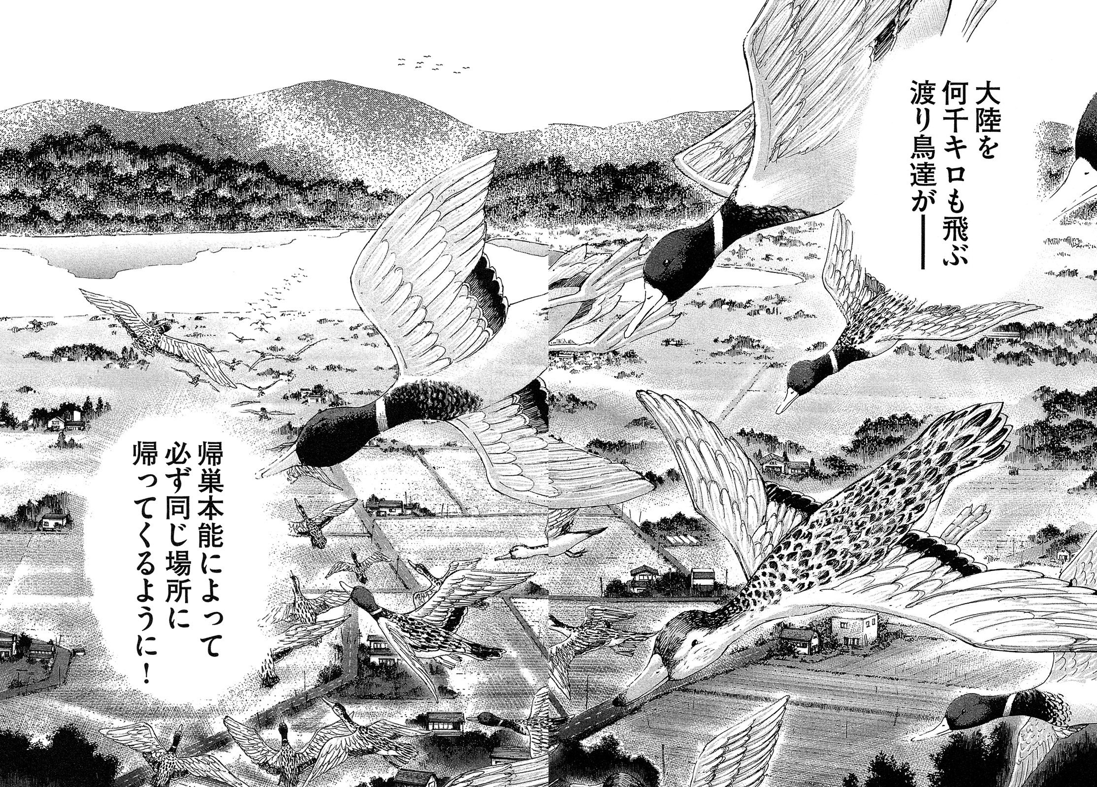 漫画マネーの拳 4巻P128、P129