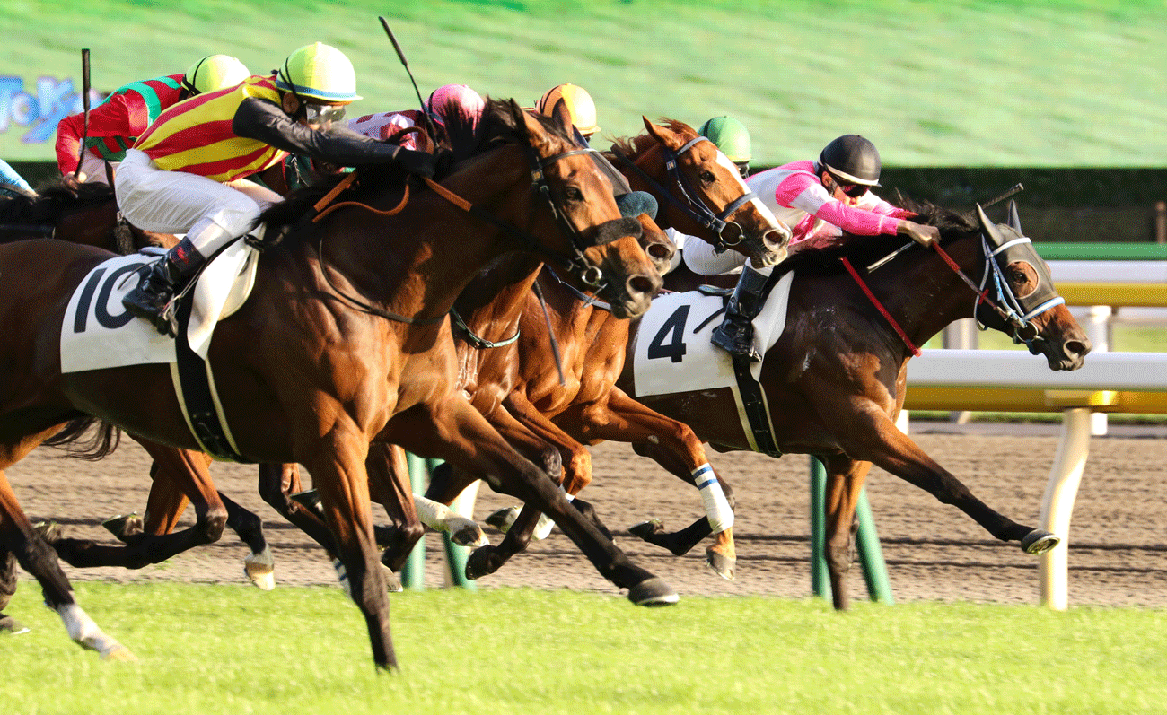 競馬は昔と雰囲気が変わったか