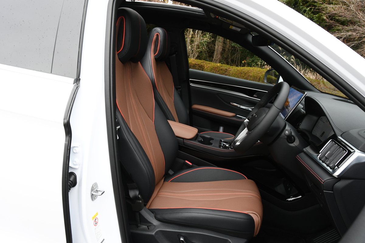 BYDシーライオン6座席シート（1）