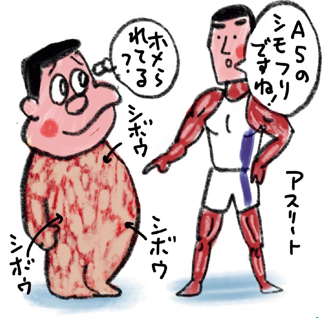異所性脂肪の恐怖から筋肉と肝臓を守り抜く「理想体重」の基礎知識