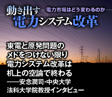 東電と原発問題のメドをつけない限り電力システム改革は机上の空論で終わる――安念潤司・中央大学法科大学院教授インタビュー