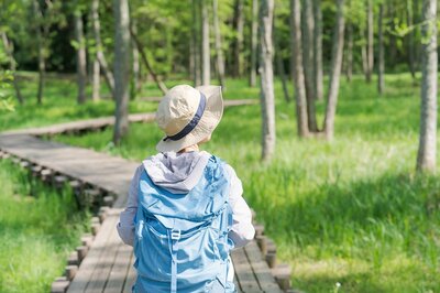 高齢者の「フレイル予防」に最も効果的な運動、男女それぞれの1位は？