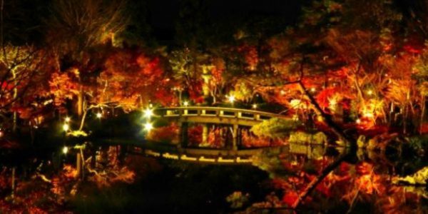 秋の京都