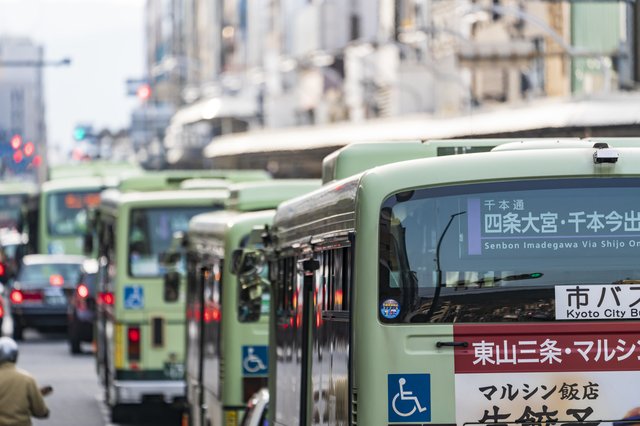 京都で一番早い桜はどこに咲く!? | らくたびと歩く京都 | ダイヤモンド・オンライン