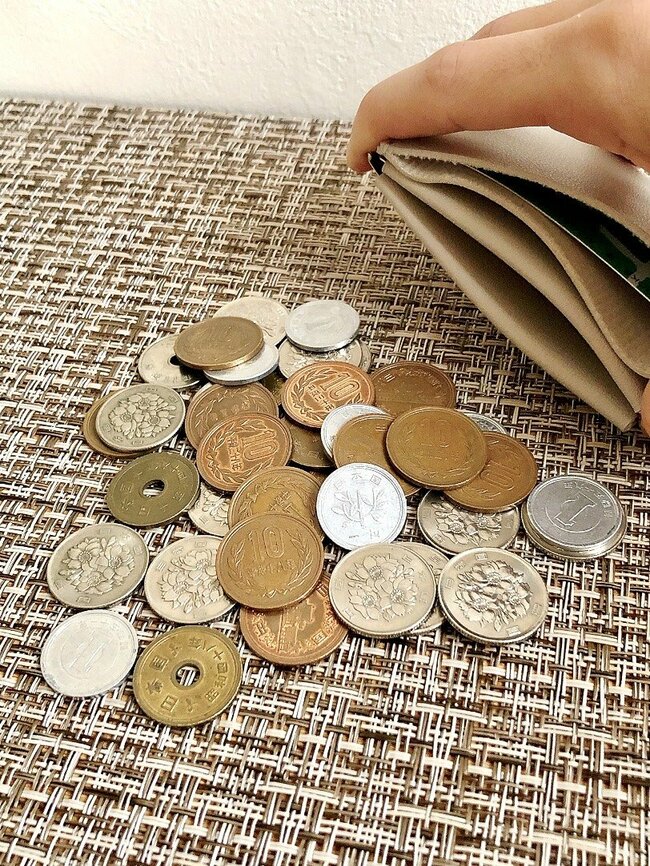 もうミニ財布はこれでいいじゃん！ダイソーの“小銭が入るカードケース”パカッと開いて使いやすい！「これで220円は安すぎる」「コンパクト財布の最適解きてた」