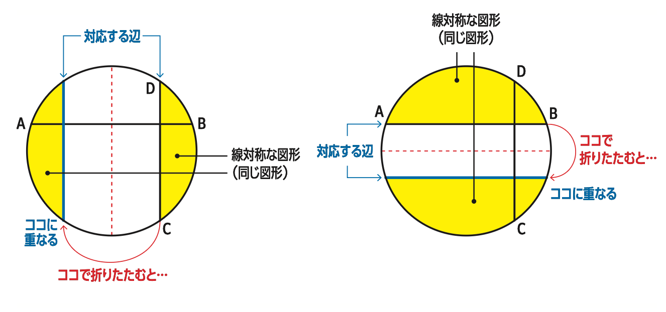 たった1日で誰でも開成・灘中の算数入試問題が解けちゃう本