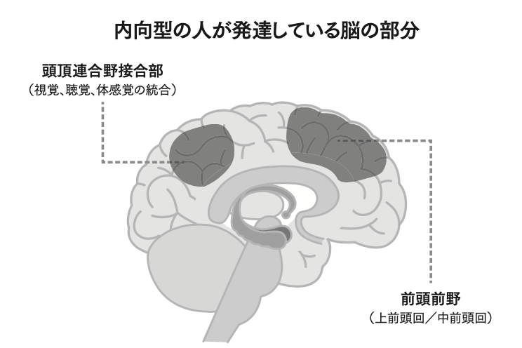【性格の新常識】「静かな人」は深い知見を持っている