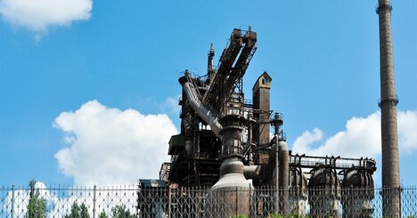 青森在住「ルーマニア出身」の人類学者が東北の山菜に感じるノスタルジー