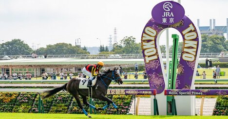 40代タイミーおじさんが東京競馬場でスキマバイト！客の「決済手段」の意外な特徴とは？
