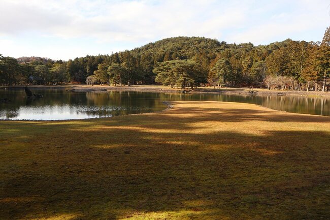 世界遺産・国の特別史跡で特別名勝の毛越寺浄土庭園の池＝岩手県平泉町