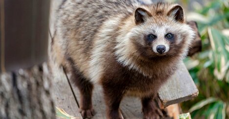 大阪の「扉が重すぎる居酒屋」になぜ客が集まる…貼り紙に書かれた「巧みなひと言」【写真付き】