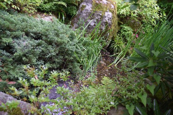 強羅花壇の川