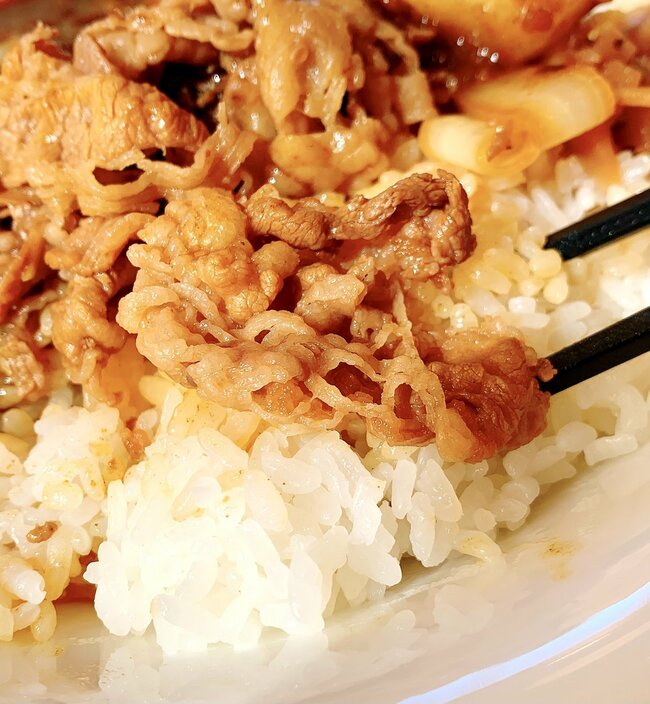 「美味しすぎて2杯目いきたい」すき家の“やけくそメニュー”期間限定なのが惜しい!「こういうのでいいんだよ」「いつものよりおいしい」《実食レビュー》