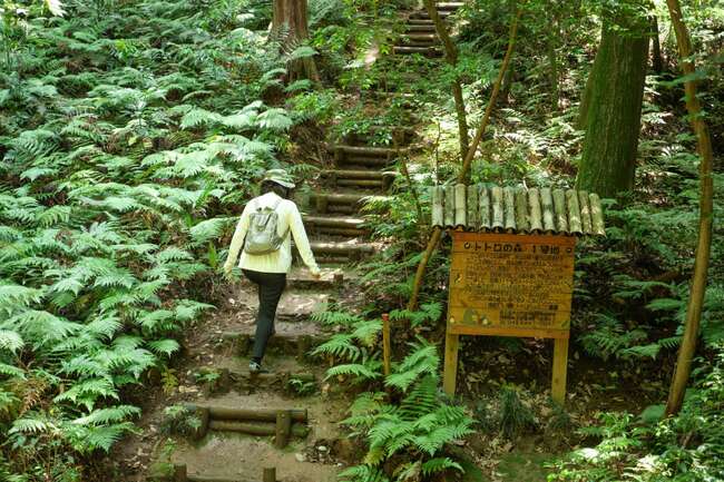 埼玉で春の日帰り旅行7選、トトロの森・絶景パワスポ・市場グルメ・地酒処...