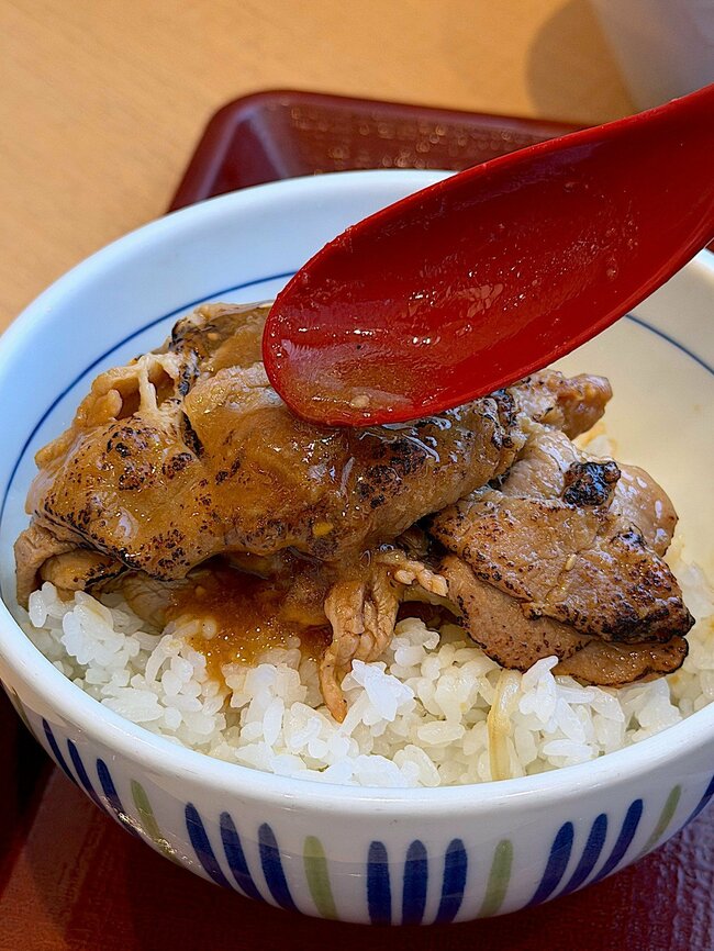 「美味しすぎて飛んだ」「お腹いっぱい！」なか卯の“肉2倍盛りメニュー”食べ応えがスゴすぎる！「ご飯が進んでしょうがない」
