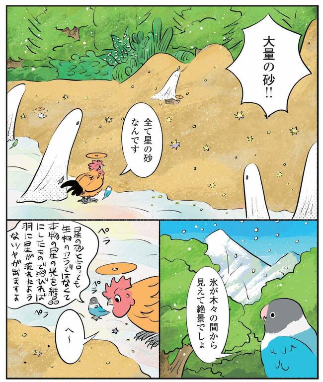 色んな種類のスパを自慢するボタンインコ