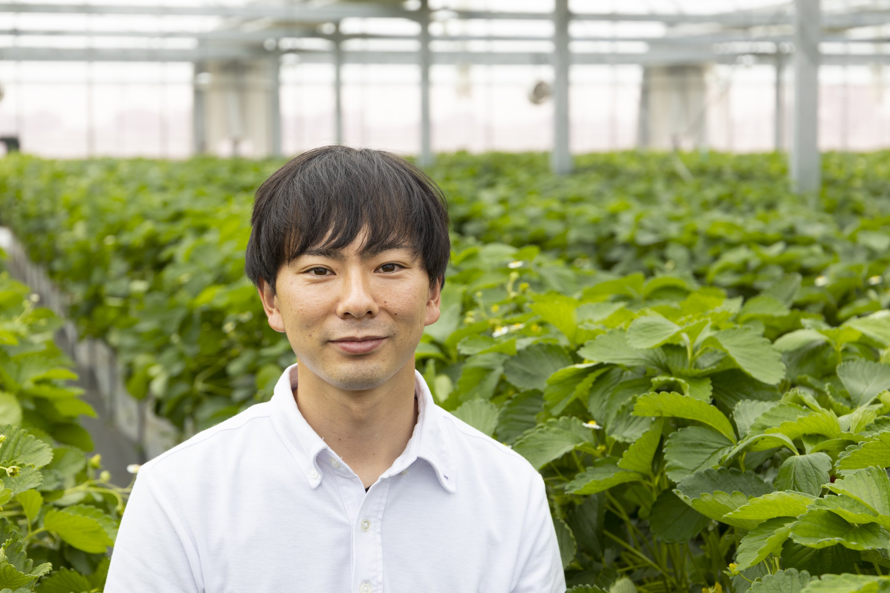 安定した、持続可能な農業経営のため、「グリーンハウス」は進化する