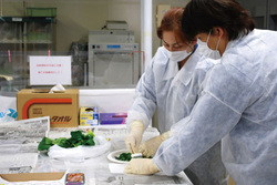 本末転倒の食品放射能検査<br />ますます遠のく食の安心