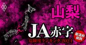 【山梨】JA赤字危険度ランキング2024、「7農協中6農協が赤字」の減益ラッシュ