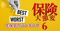 【顧客本位の生保会社ランキング2025】優良代理店29社が忖度なしに逆査定！ベスト2位メディケア、ワースト2位は東京海上日動あんしん、各1位は？