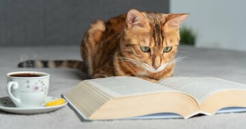 やる気に頼らず、「無意識で勉強する」方法【働きながら3年で、9つの資格に独学合格】