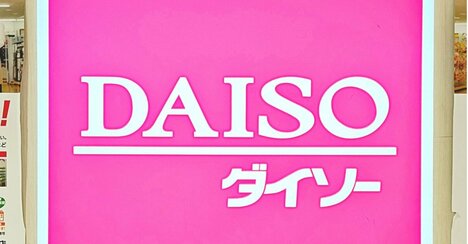 おくすり手帳やカード60枚がすっぽり…！ダイソーの“ぺたんこポーチ”処方薬や病院書類を入れるのにもピッタリ！《購入レビュー》