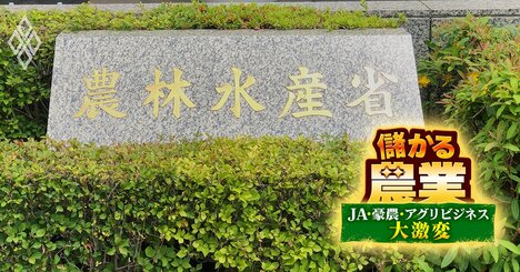 農水省の次期事務次官と「次の次」の事務方トップを大予想！小泉農相時代の番狂わせ人事と“局長の大量追放”を生き抜き、出世レースを制するのは誰？