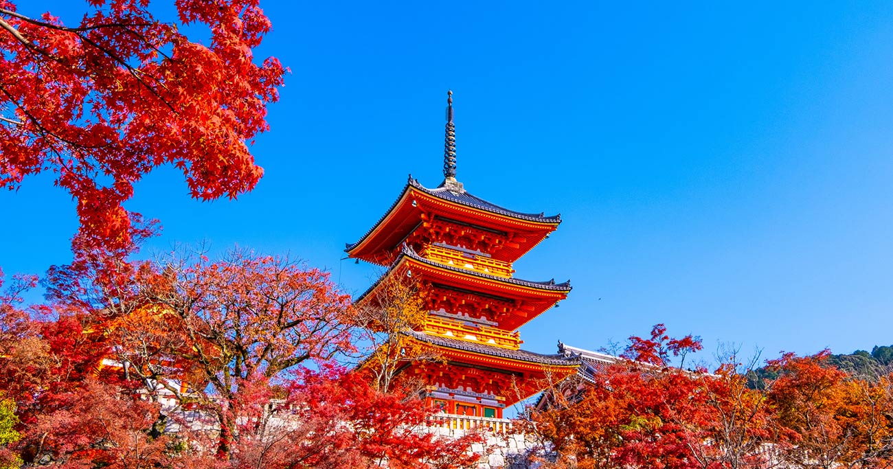 日本人の京都離れ、紅葉シーズンに加速か？外国人のオーバーツーリズムを解決に導く2つの提案