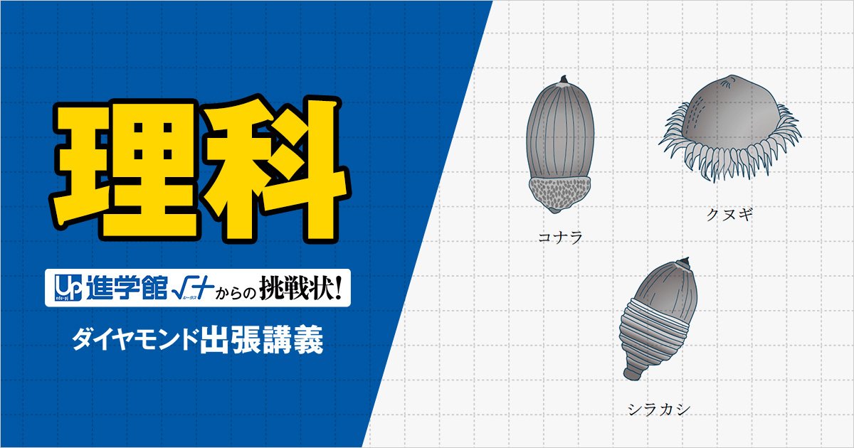 【中学受験の良問・理科】「童謡『どんぐりころころ』に『お池にはまってさあたいへん』という一節がありますが、なぜ大変なのでしょう?」…海城で類題の「植物の種子」の問題