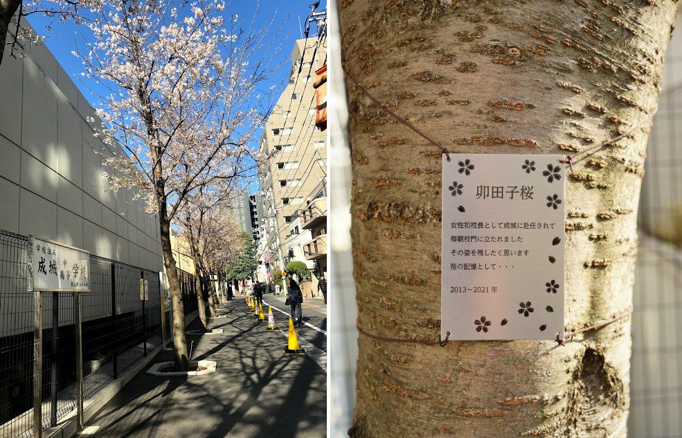 伝統男子校 成城 をよみがえらせた女性校長の うたこ流 マネジメント術とは 中学受験のキーパーソン ダイヤモンド オンライン