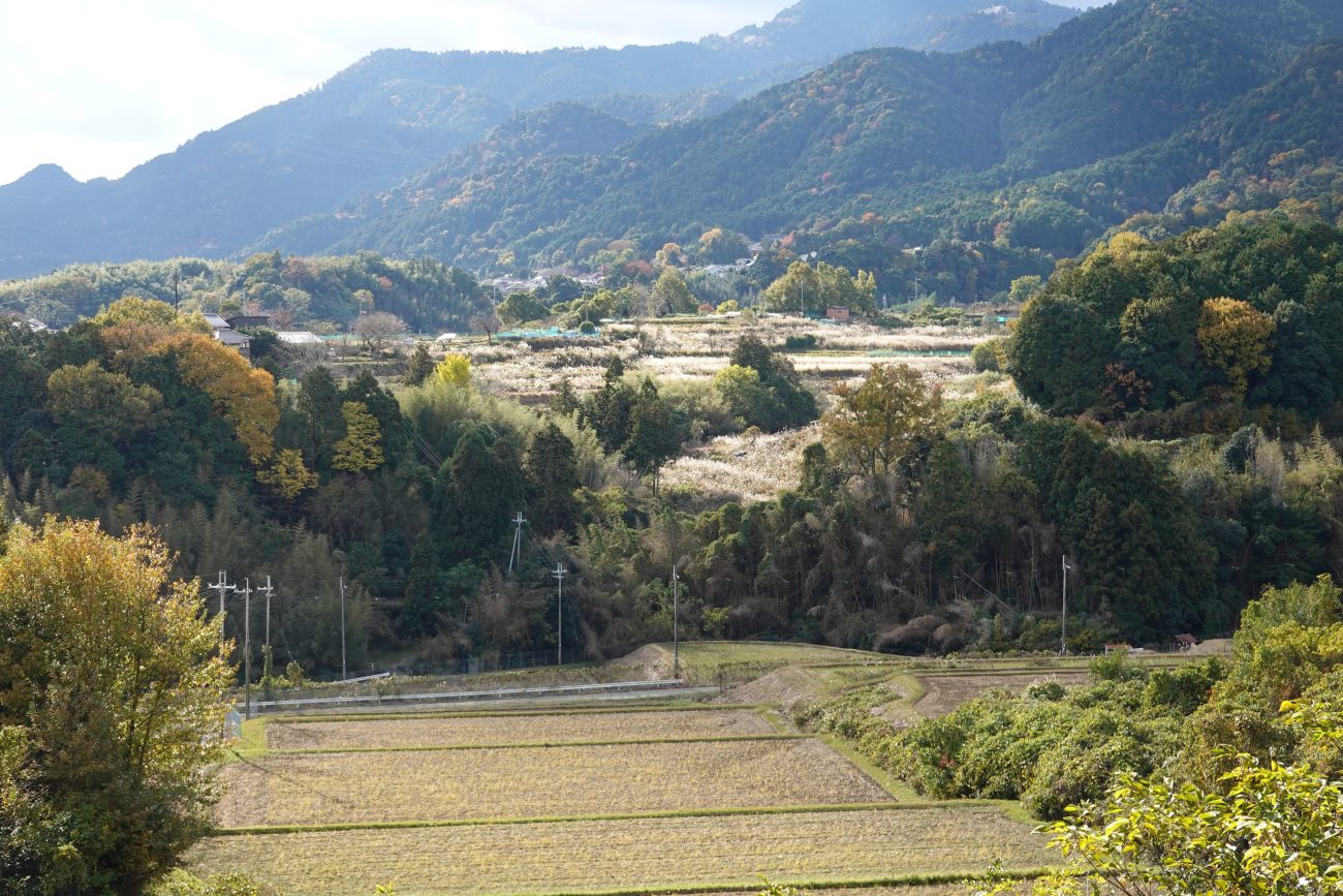 【老後】いらない土地を放棄する「意外な方法」とは？