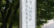 【お寺の掲示板の深い言葉 24】「今、いのちがあなたを生きている」