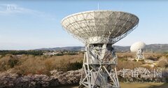 日本の絶景、さくら宇宙公園──パラボラアンテナと満開の桜